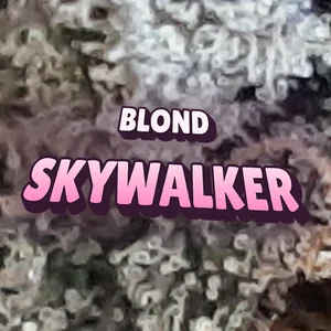 Blond Skywalker Cannabis Strain