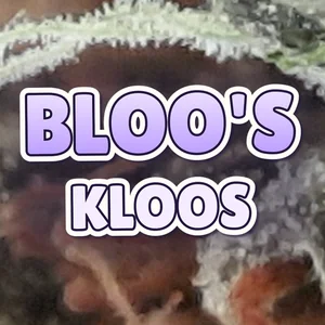Bloo's Kloos Cannabis Strain
