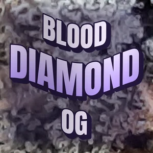 Blood Diamond OG Cannabis Strain