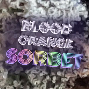 Blood Orange Sorbet Cannabis Strain