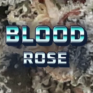 Blood Rose Cannabis Strain