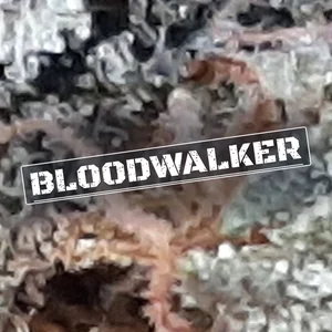 Bloodwalker Cannabis Strain