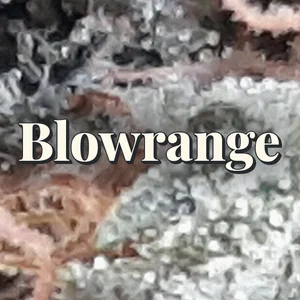Blowrange Cannabis Strain