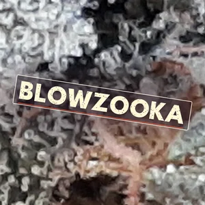 Blowzooka Cannabis Strain