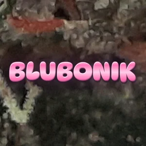 Blubonik Cannabis Strain