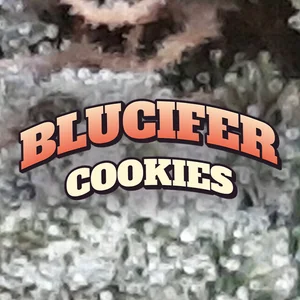 Blucifer Cookies Cannabis Strain