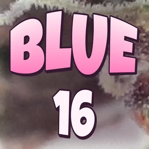Blue 16 Cannabis Strain