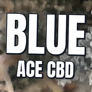 Blue Ace CBD Cannabis Strain