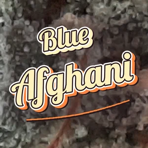 Blue Afghani Cannabis Strain