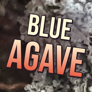 Blue Agave Cannabis Strain