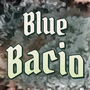 Blue Bacio Cannabis Strain