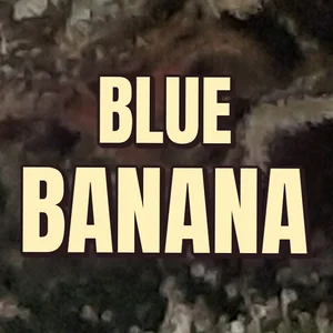 Blue Banana Cannabis Strain
