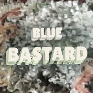 Blue Bastard Cannabis Strain