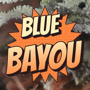 Blue Bayou Cannabis Strain