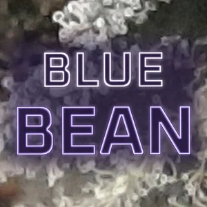 Blue Bean Cannabis Strain