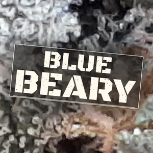 Blue Beary Cannabis Strain