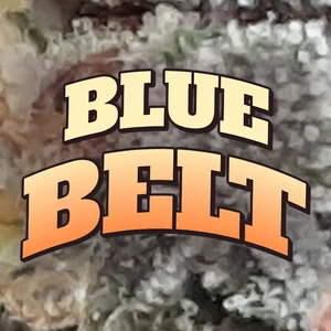 Blue Belt Cannabis Strain