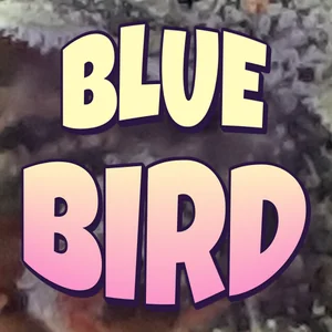 Blue Bird Cannabis Strain