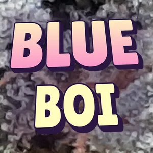 Blue Boi Cannabis Strain