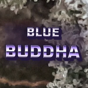 Blue Buddha Cannabis Strain