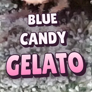 Blue Candy Gelato Cannabis Strain