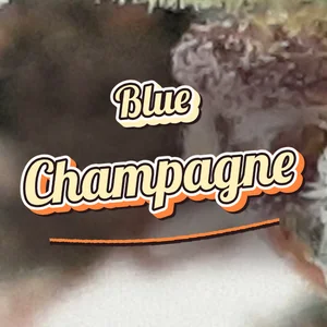 Blue Champagne Cannabis Strain
