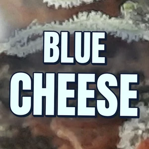 Blue Cheese Cannabis Strain