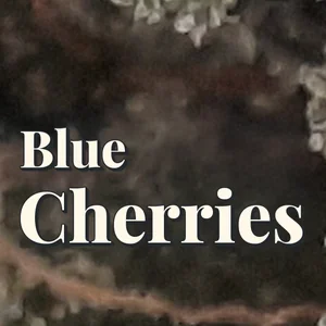 Blue Cherries Cannabis Strain