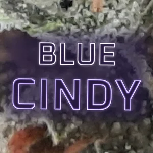 Blue Cindy Cannabis Strain