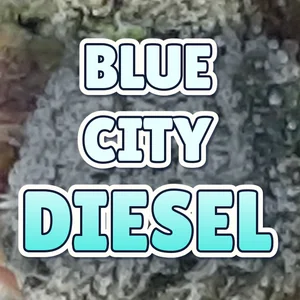 Blue City Diesel Cannabis Strain