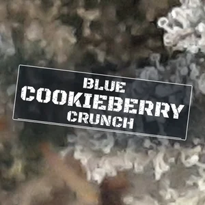 Blue Cookieberry Crunch Cannabis Strain