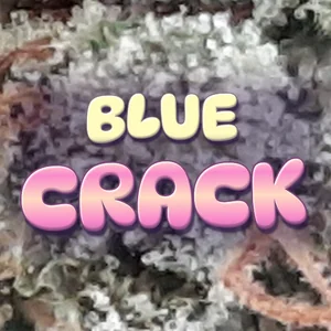 Blue Crack Cannabis Strain