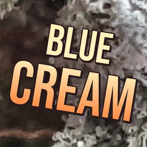 Blue Cream Cannabis Strain