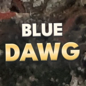 Blue Dawg Cannabis Strain