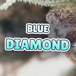 Blue Diamond Cannabis Strain