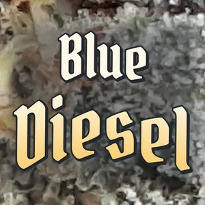 Blue Diesel Cannabis Strain