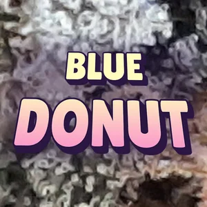 Blue Donut Cannabis Strain