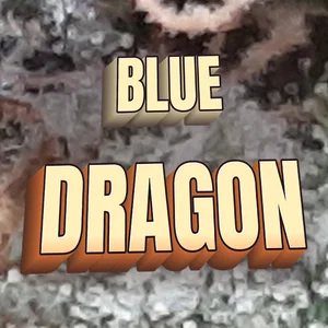 Blue Dragon Cannabis Strain