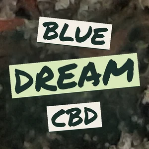 Blue Dream CBD Cannabis Strain