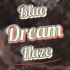 Blue Dream Haze Cannabis Strain