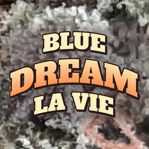 Blue Dream La Vie Cannabis Strain