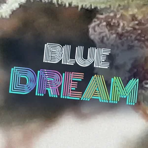 Blue Dream Cannabis Strain