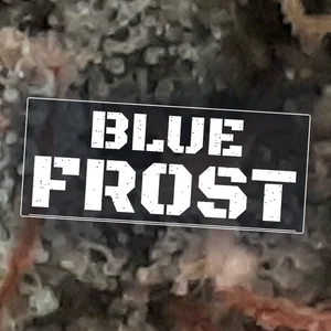 Blue Frost Cannabis Strain