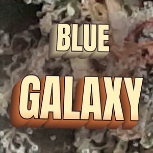 Blue Galaxy Cannabis Strain