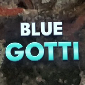 Blue Gotti Cannabis Strain