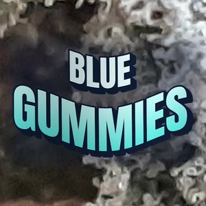 Blue Gummies Cannabis Strain