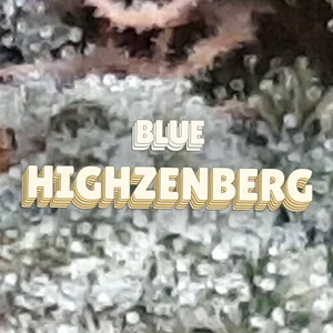Blue Highzenberg Cannabis Strain