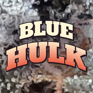 Blue Hulk Cannabis Strain