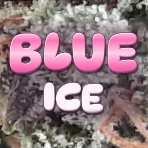 Blue Ice Cannabis Strain