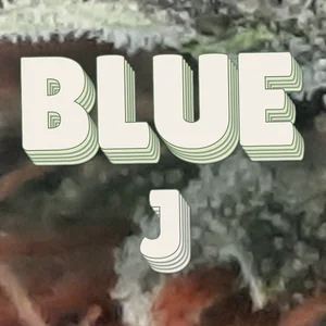 Blue J Cannabis Strain